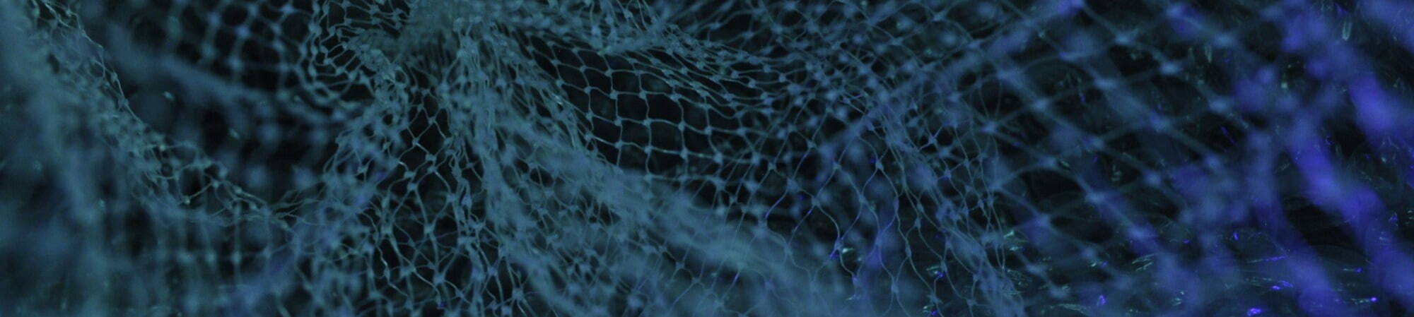 Banner Default Image