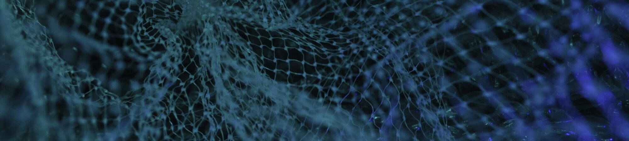 Banner Default Image